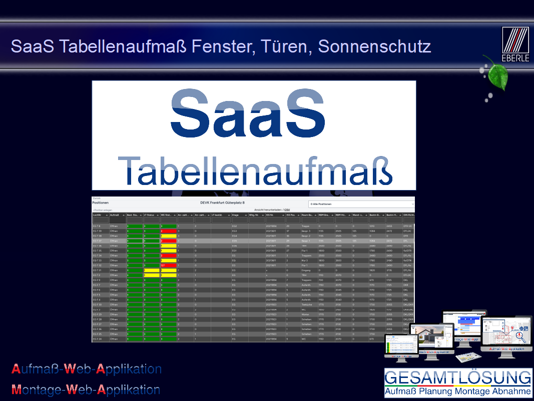 SaaS Tabellenaufma Fenster