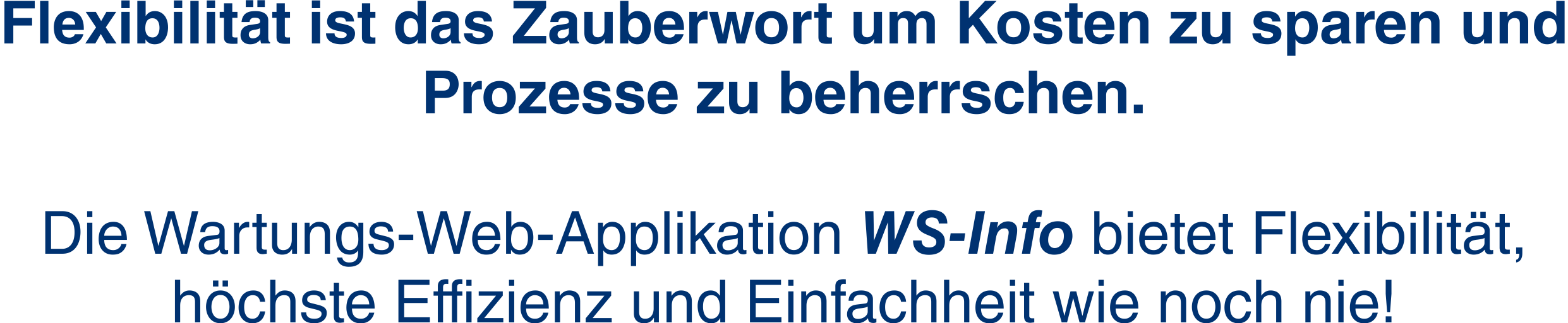Flexibilit�t WS-Info Wartung